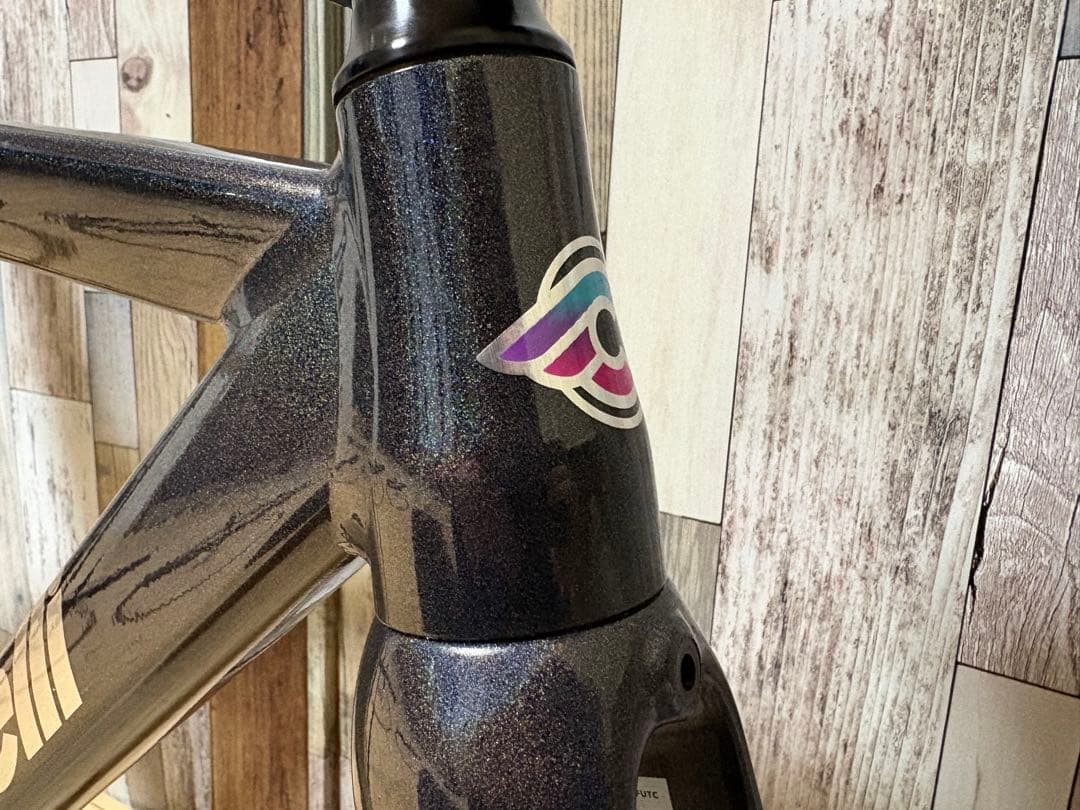 ★CINELLI 22 VIGORELLI フレームセット レインボー 520㎜