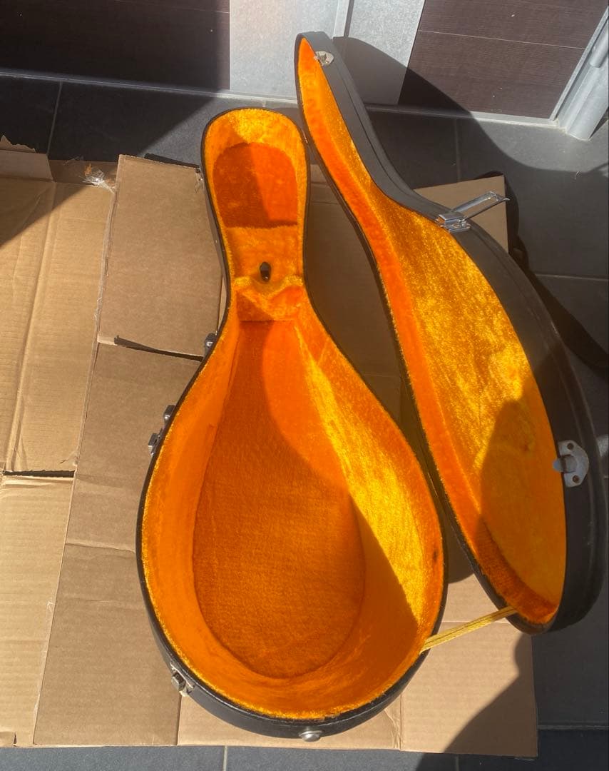 SUZUKI スズキ マンドリン