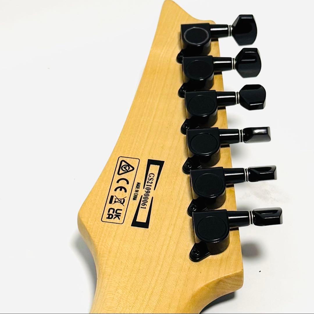 Ibanez RGV250 BK アイバニーズ エレキギター