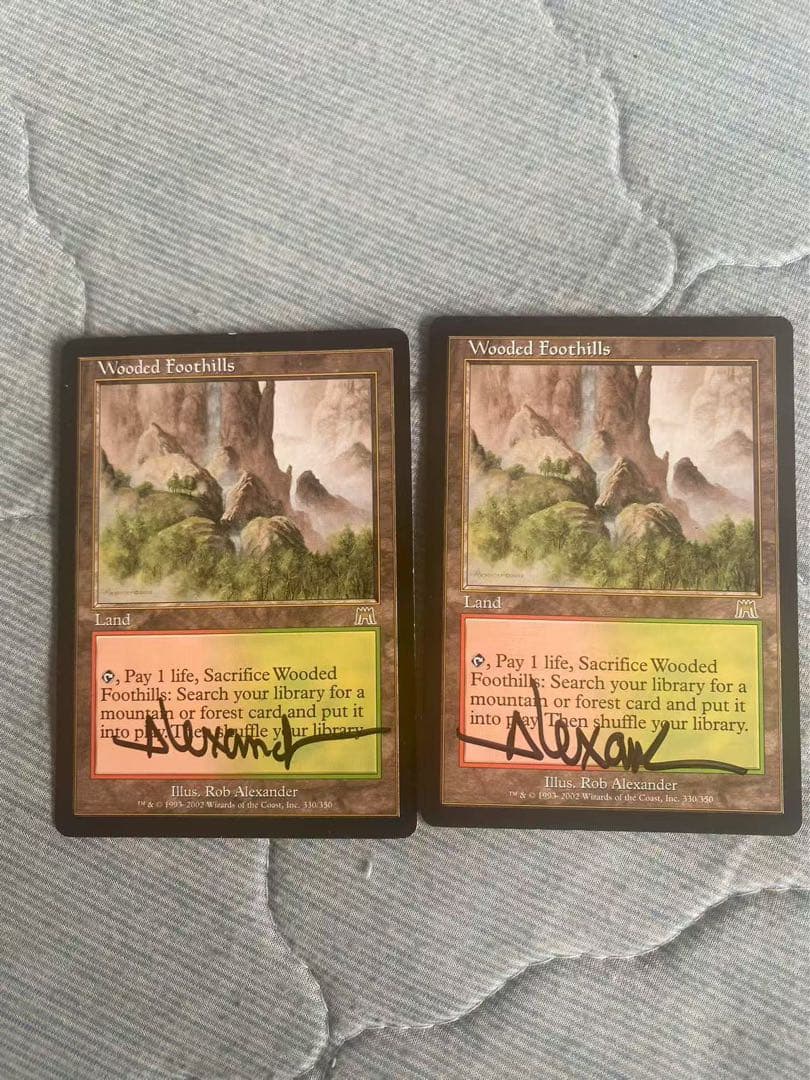 mtg 樹木茂る山麓 英語2枚セット サインド