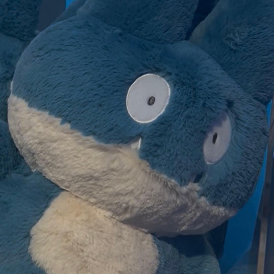 ふわふわ抱きぬいぐるみ ゴンベ　5体セット