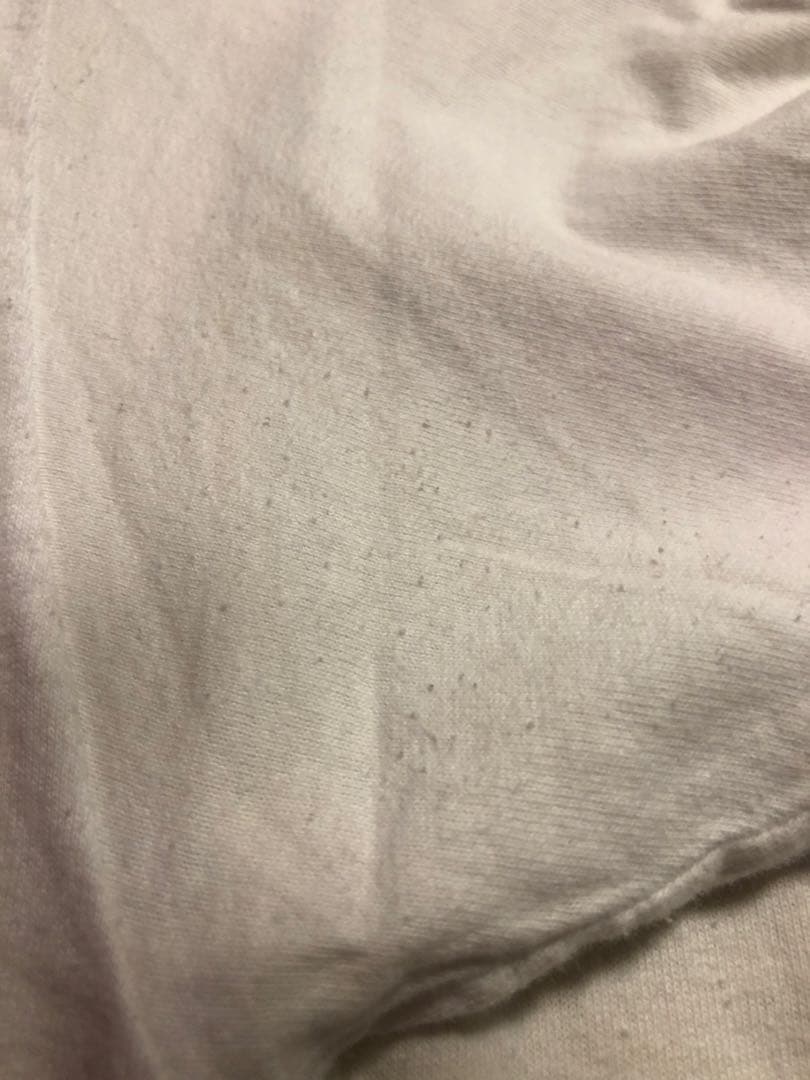 ◎ ディズニー　ヴィンテージ　Tシャツ　プーさん　エプコット