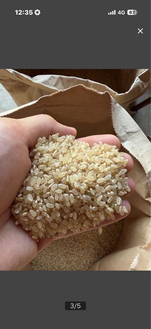 R7年山形県庄内産のはえぬき　約15キロ