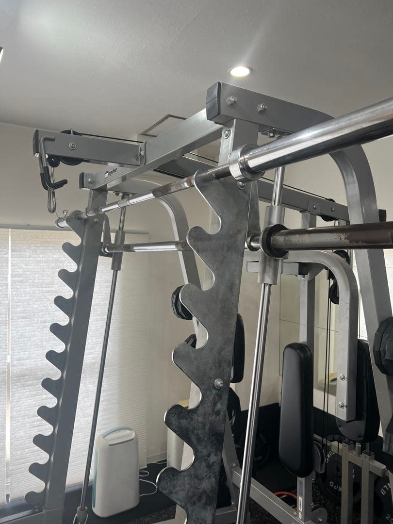 ワイルドフィット　パワーラック　スミスマシン　ラットプル　ペックフライ