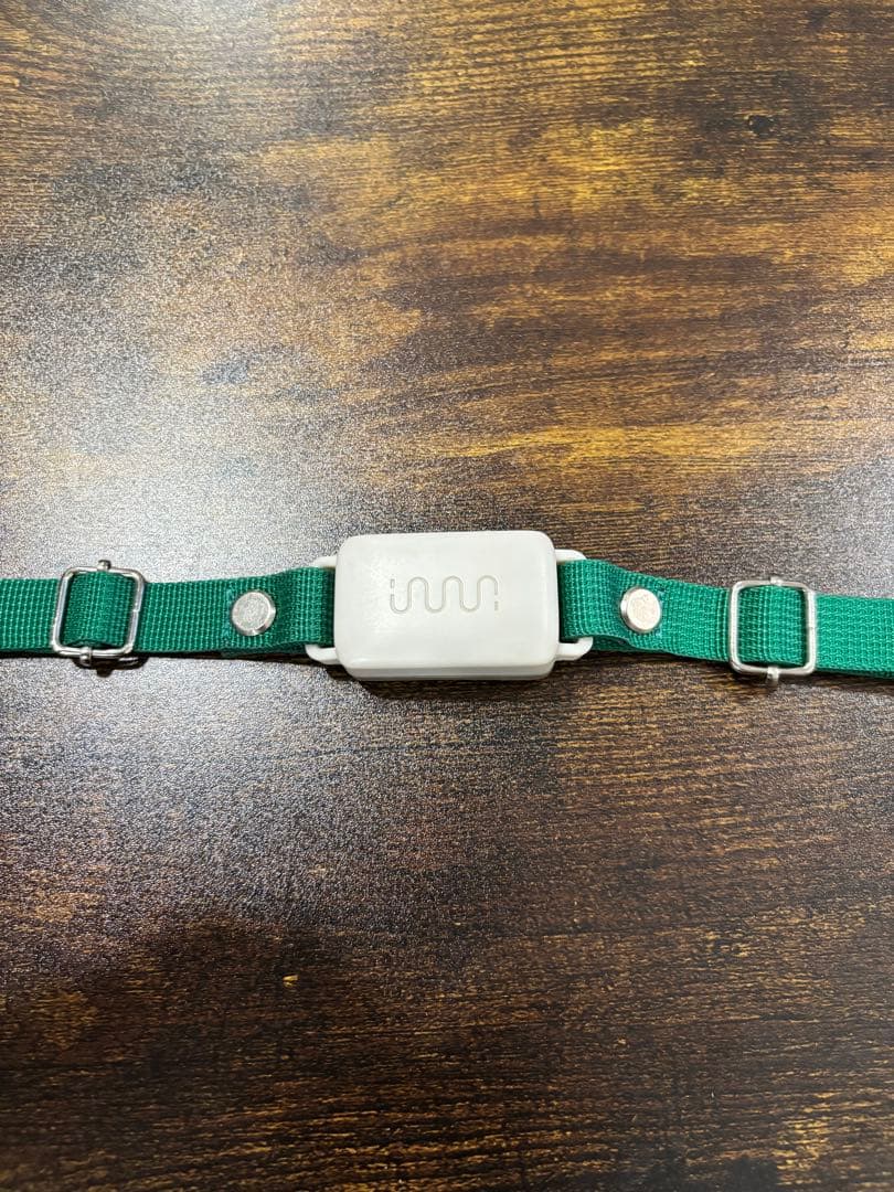 値下げ！イヌパシー　Sサイズ　グリーン