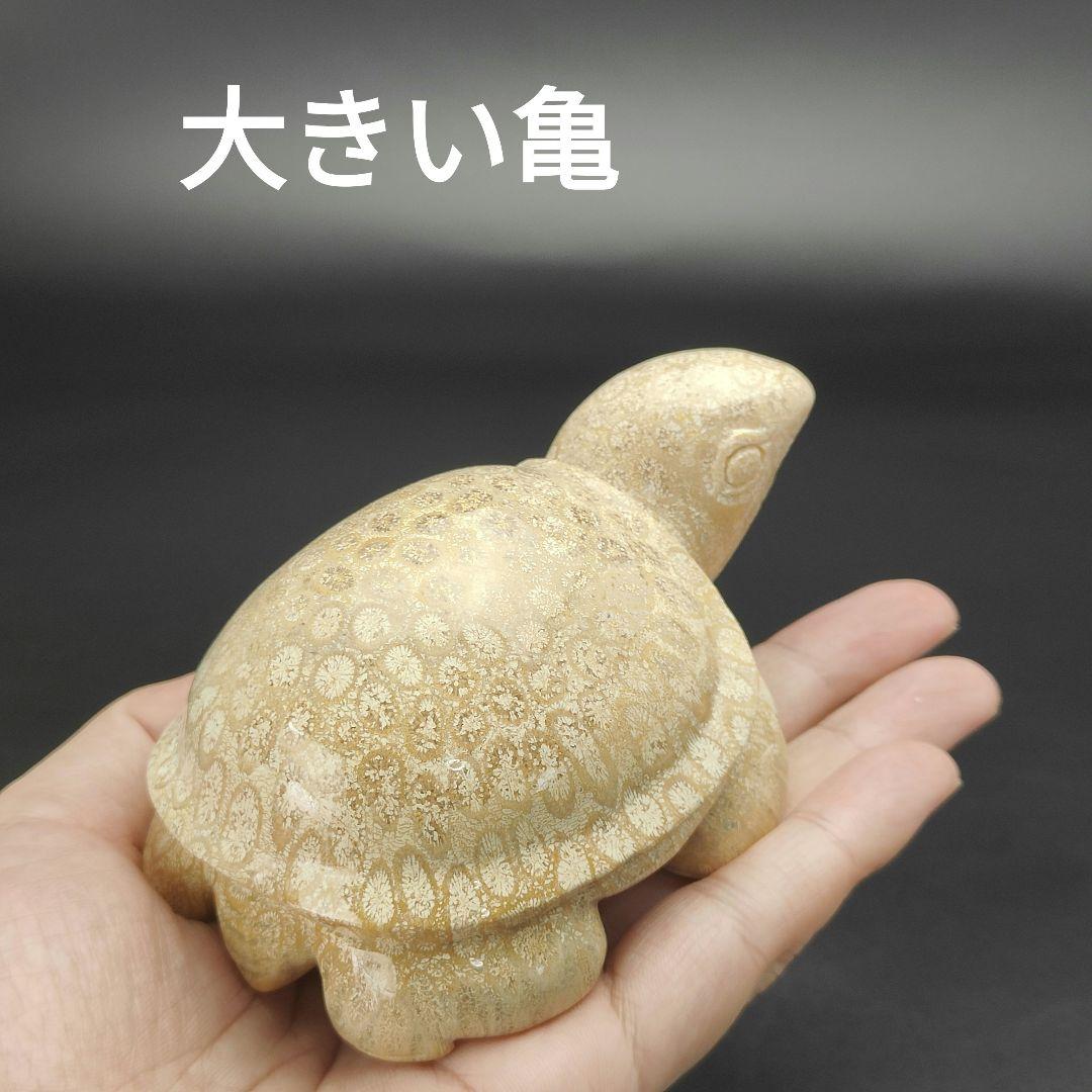 1 サンゴの化石　亀　(大)　天然石　 菊目石　珊瑚　コラール　縁起物　魔除け