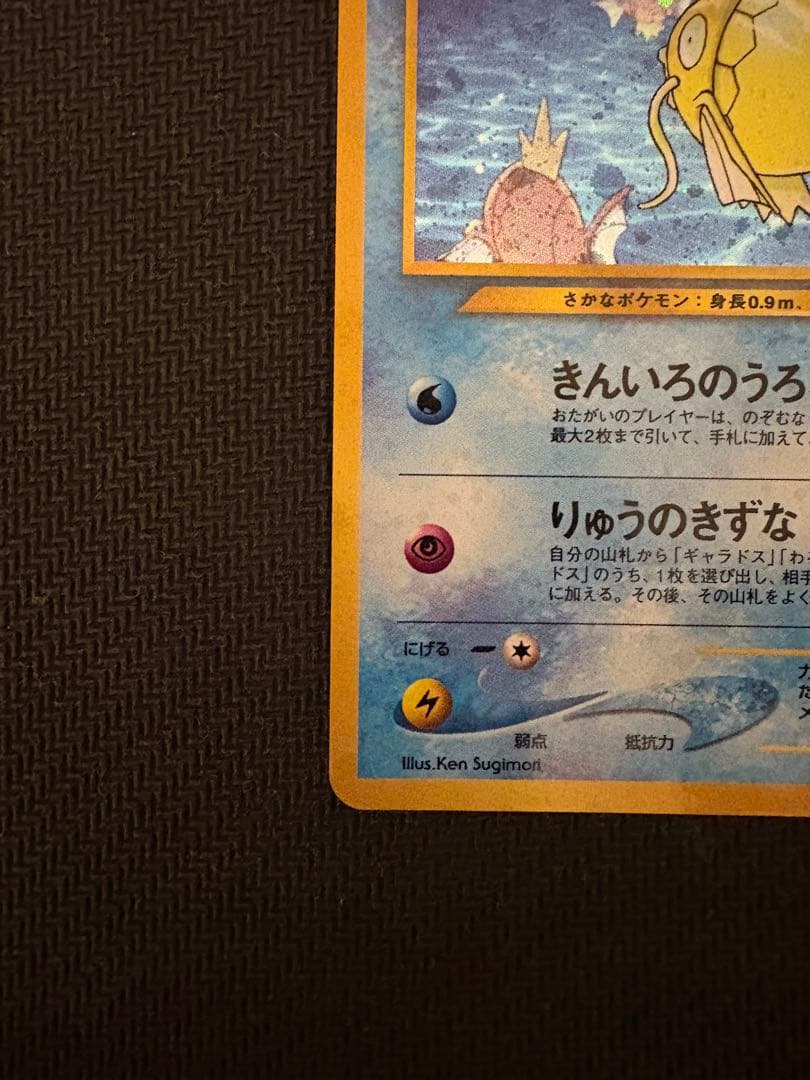 ひかるコイキング 旧裏①