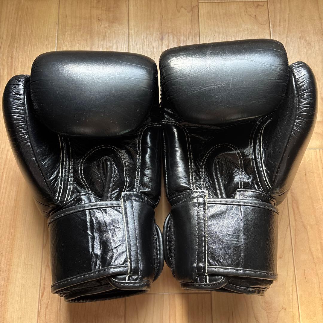 Fairtex（フェアテックス）ボクシンググローブ BGV1 本革制 16oz