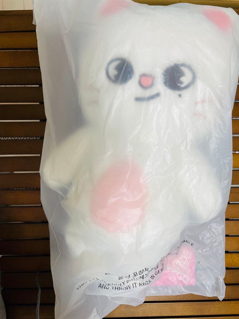 スキズ　straykids SKZOO ジニレット テディベア　ペンミ　新品