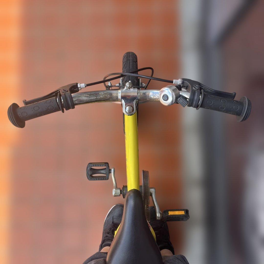 2台セット^_^変身バイク　GOIRIDER 幼児　子ども　初めて　キックバイク