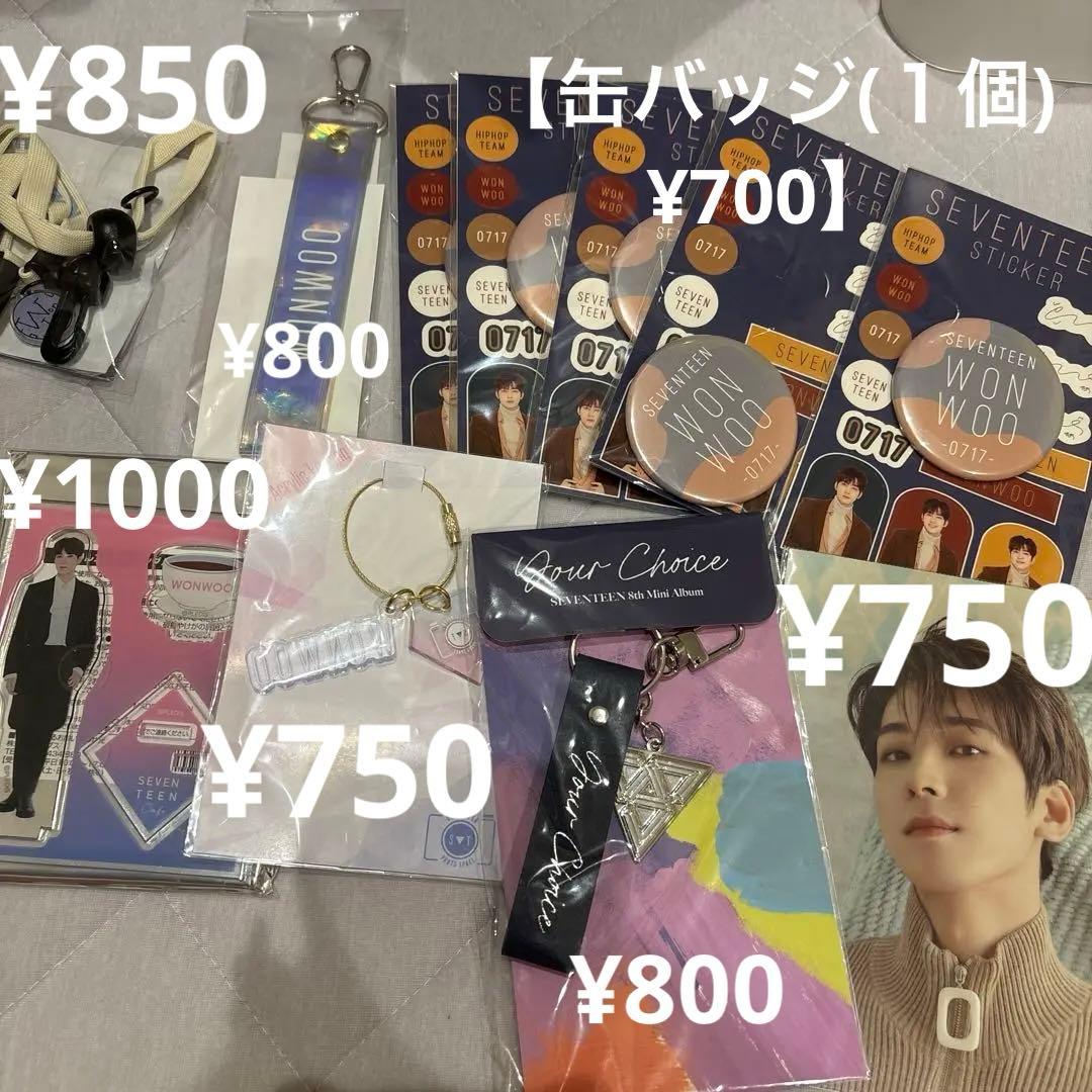 SEVENTEEN ウォヌ グッズ【バラ売り】