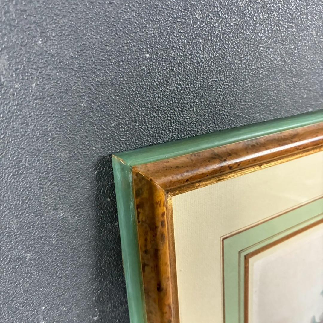 ヨハン・ヴァインマン「アザミ」銅版画+手彩色 作品保証書有 薬用植物図譜 ドイツ