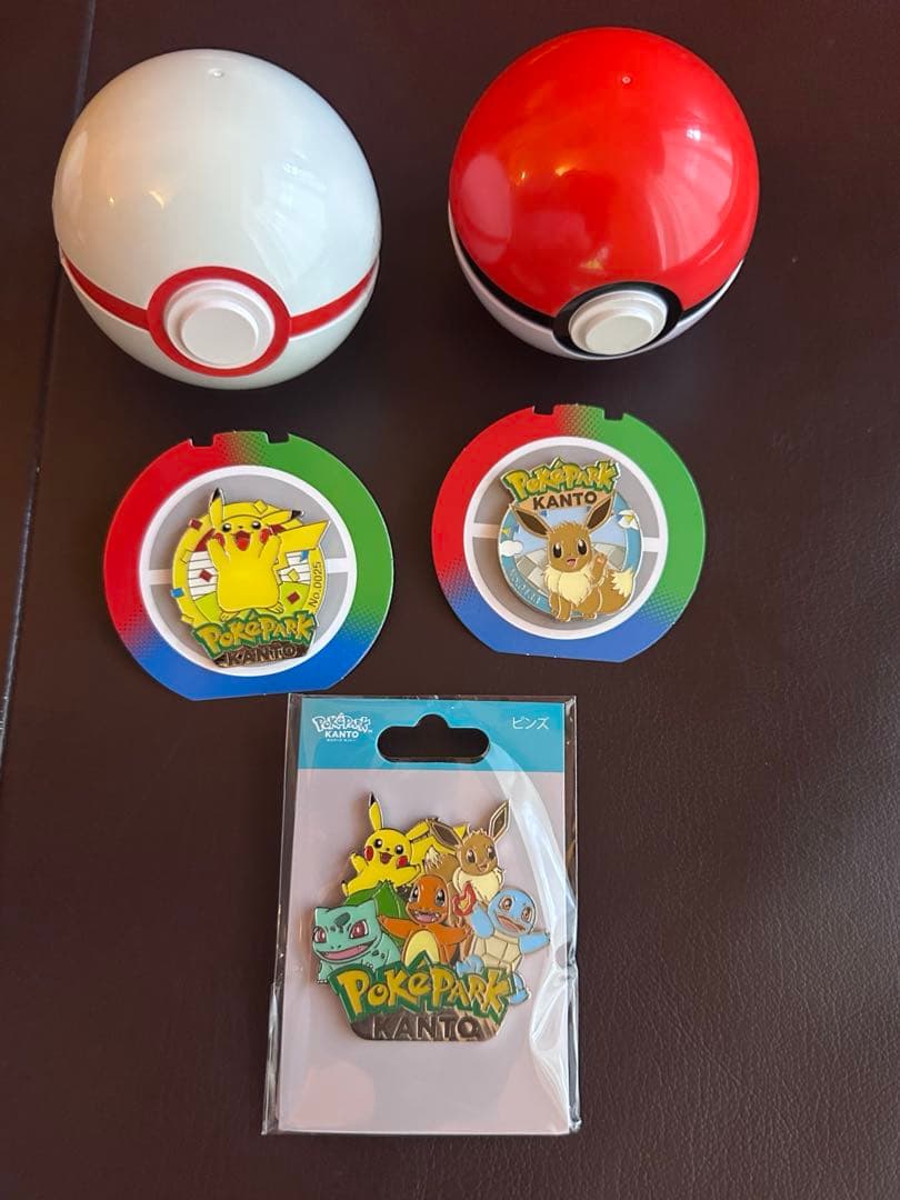 ポケパーク カントー ピンバッジ ピカチュウ イーブイ セット