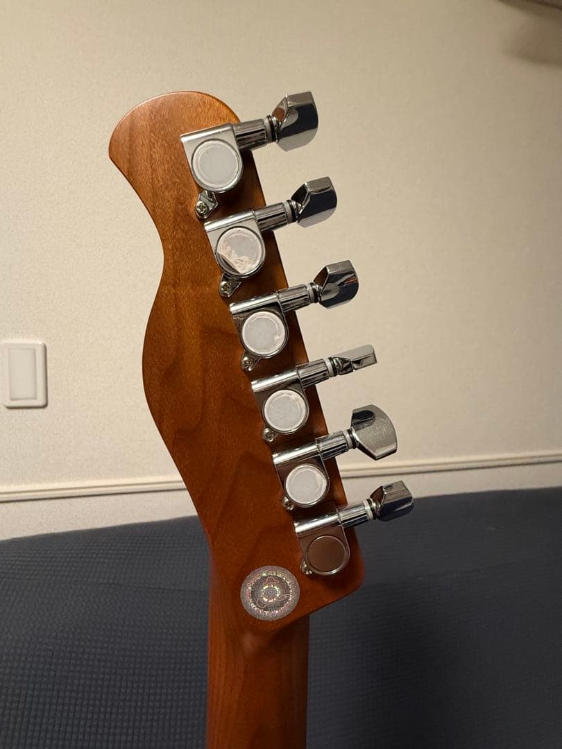 25.12月新品購入　Bacchus BTE-3-RSM H H テレキャスター