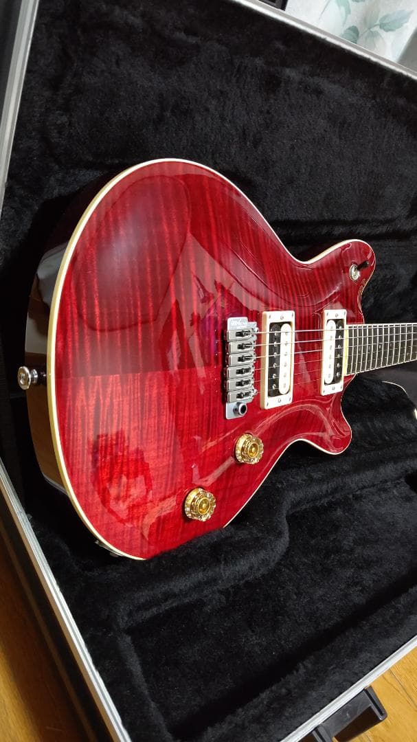 【T's Guitars】Arc-STD / VS100N