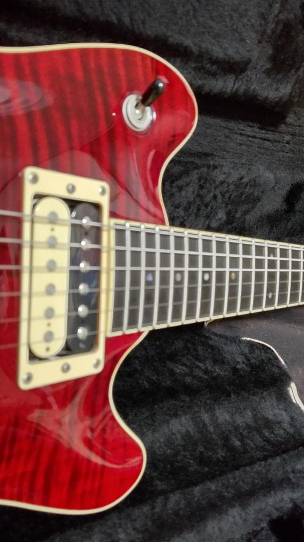 【T's Guitars】Arc-STD / VS100N