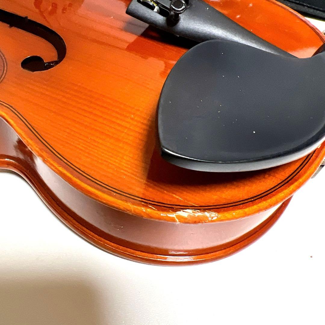 【良品】Andreas Eastman VL80 1/4 2017年製