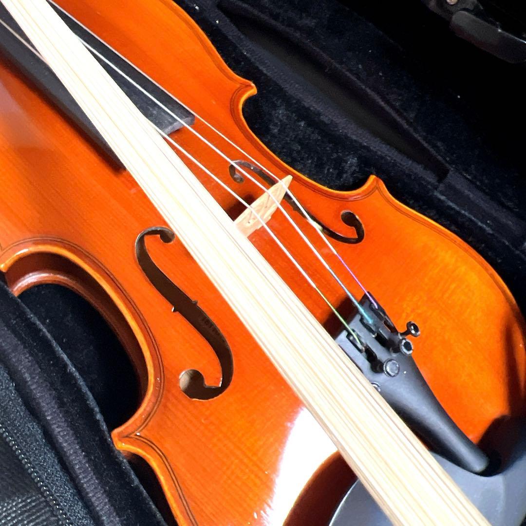 【良品】Andreas Eastman VL80 1/4 2017年製