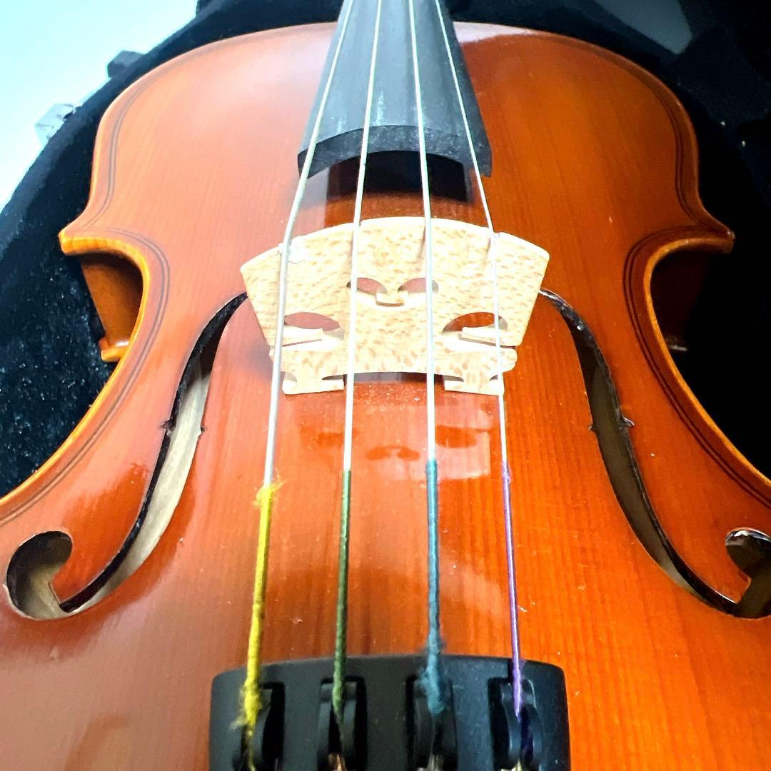 【良品】Andreas Eastman VL80 1/4 2017年製