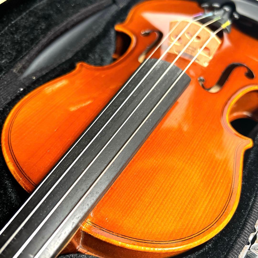 【良品】Andreas Eastman VL80 1/4 2017年製