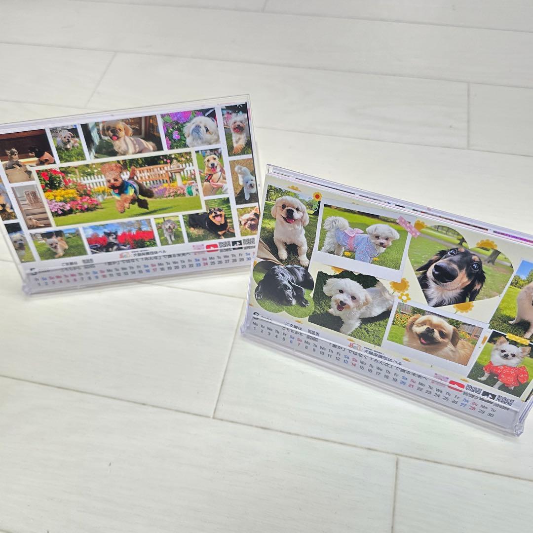 ③『犬』 卓上チャリティーカレンダー5枚セット