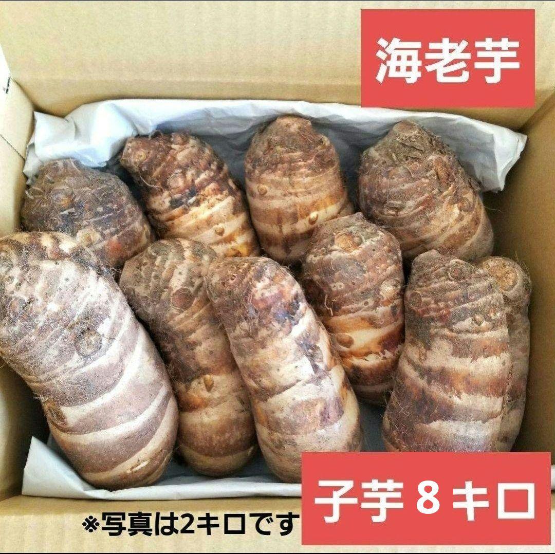 【tamakoyu1007】海老芋　子芋　8キロ　静岡県産