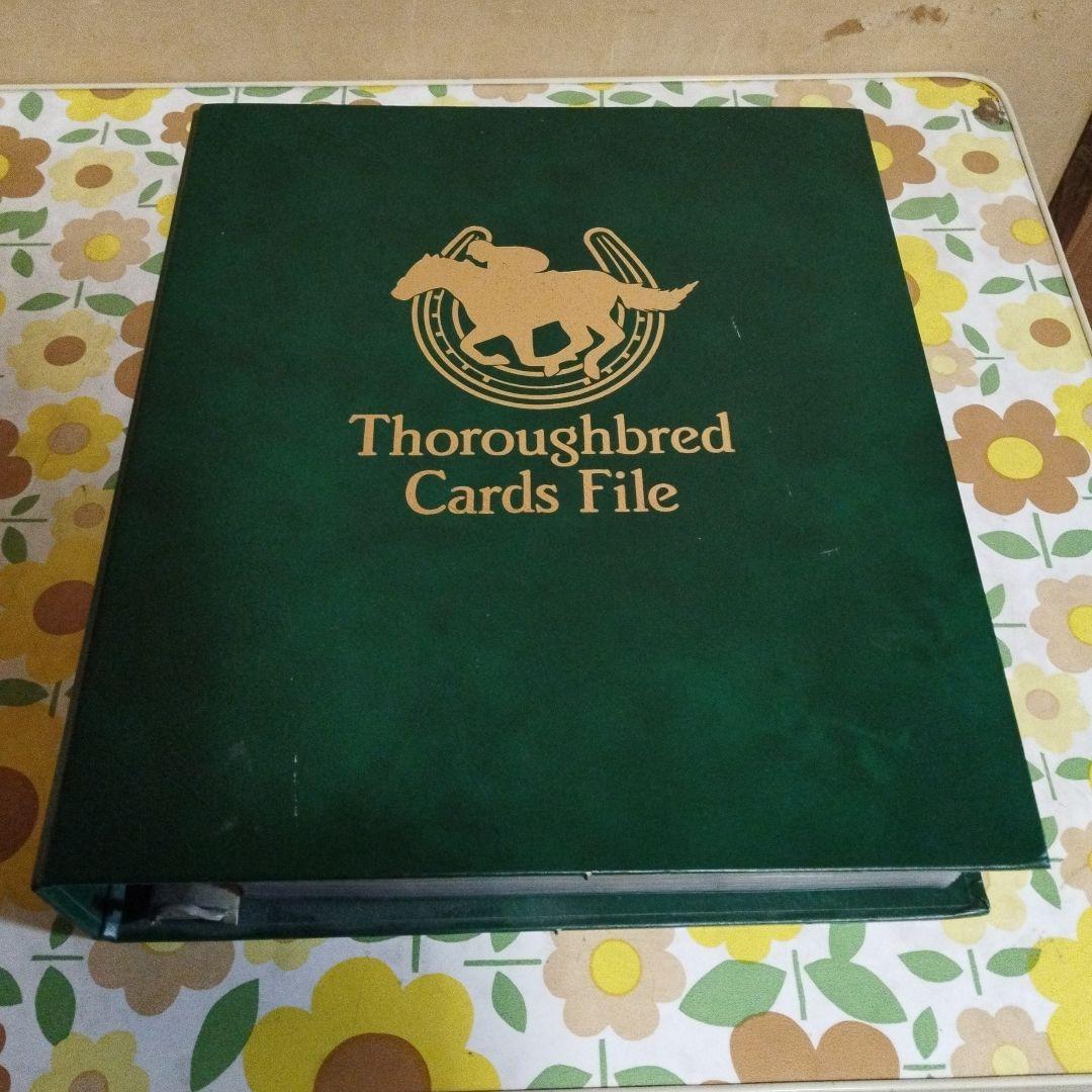 競馬カード　バンダイ　thoroughbredcardsFile