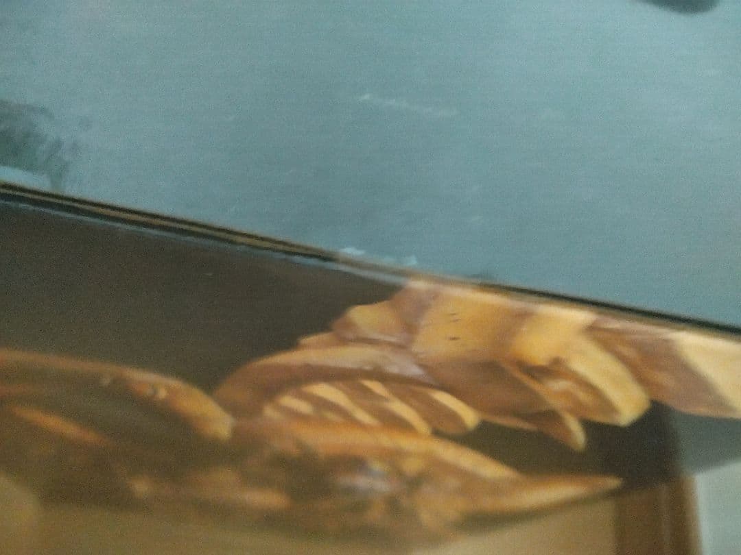 ラーの翼神龍　一番くじ　A賞　フィギュア　遊戯王