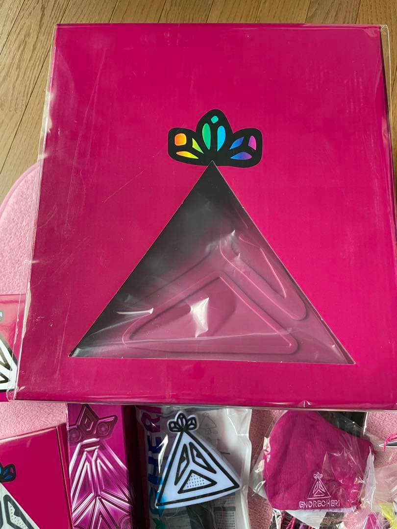 ENDRECHERI ペンライト他グッズ11点セット 堂本剛