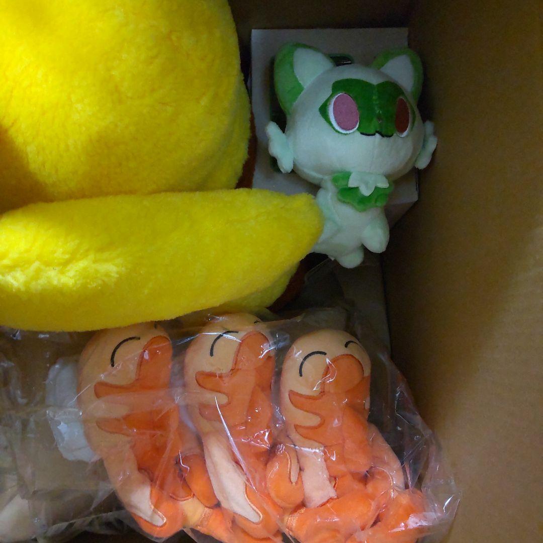 ピカピカbox 2026　ポケモン ぬいぐるみ セット