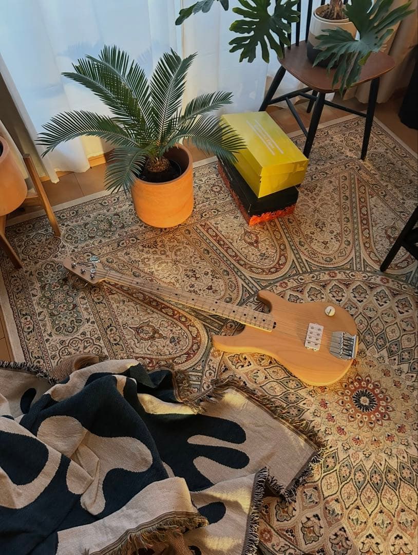 ベース Joe dart Vulf Peck