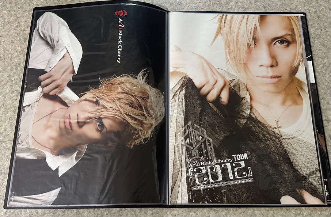Acid Black Cherry ポスター　35種セット