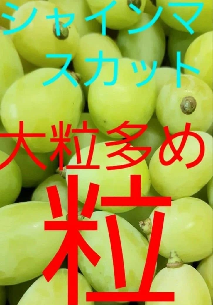 シャインマスカット増量の、徳用5.5キロ入りの粒バック入り本日限定特売品