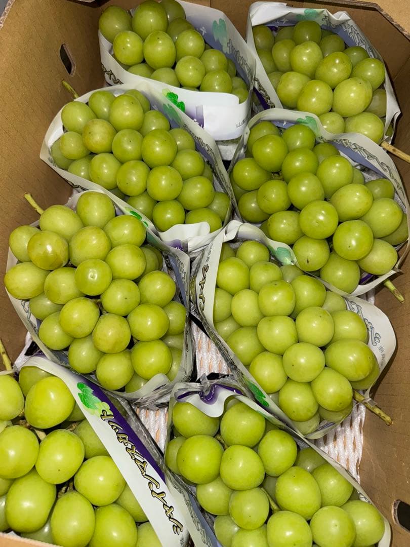 山梨県産JA共選品シャインマスカット⭐️8房入り箱込み約5.6キロ