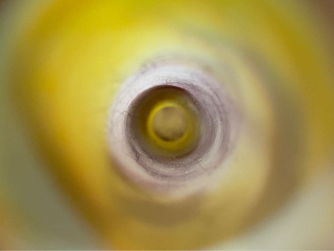 エミール•ガレ 一輪挿し 美術品 ホクシャ文 鶴首型 花瓶 アンティーク