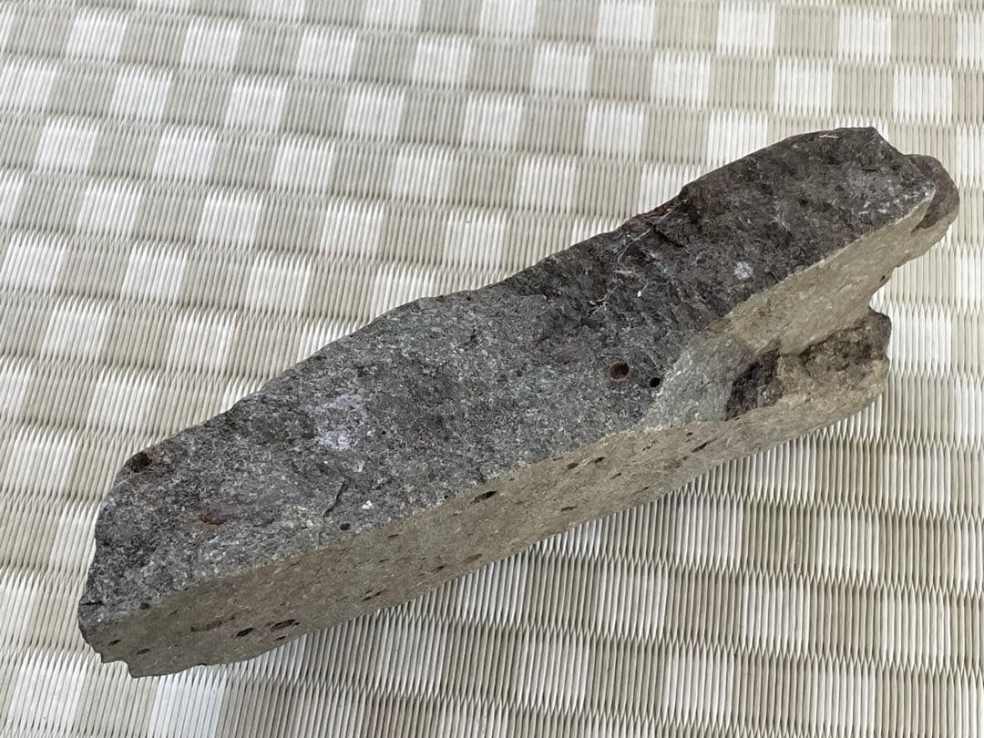 朝倉氏館跡から出た笏石、火縄銃の玉　戦国　落城