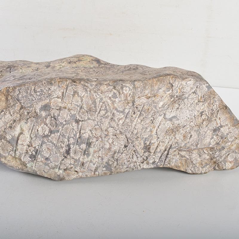 鑑賞石　天然石　梅花石　置物　重さ約10㎏　唐木台付　C 6361C