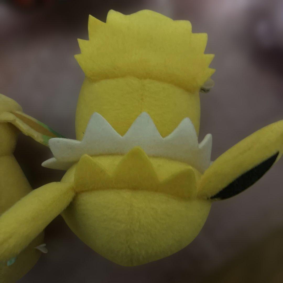 ポケモンころりんブイズ9種セット(ちむ)