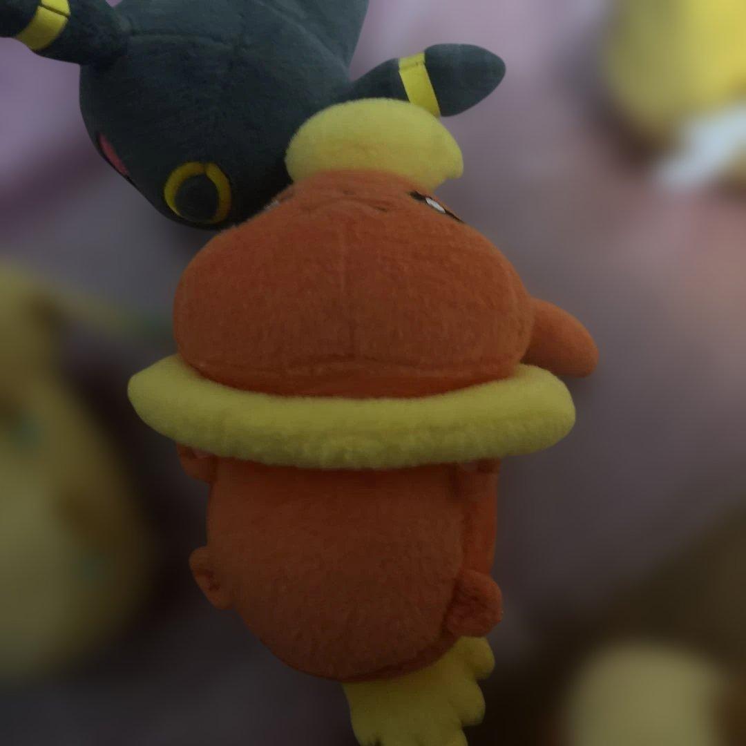 ポケモンころりんブイズ9種セット(ちむ)