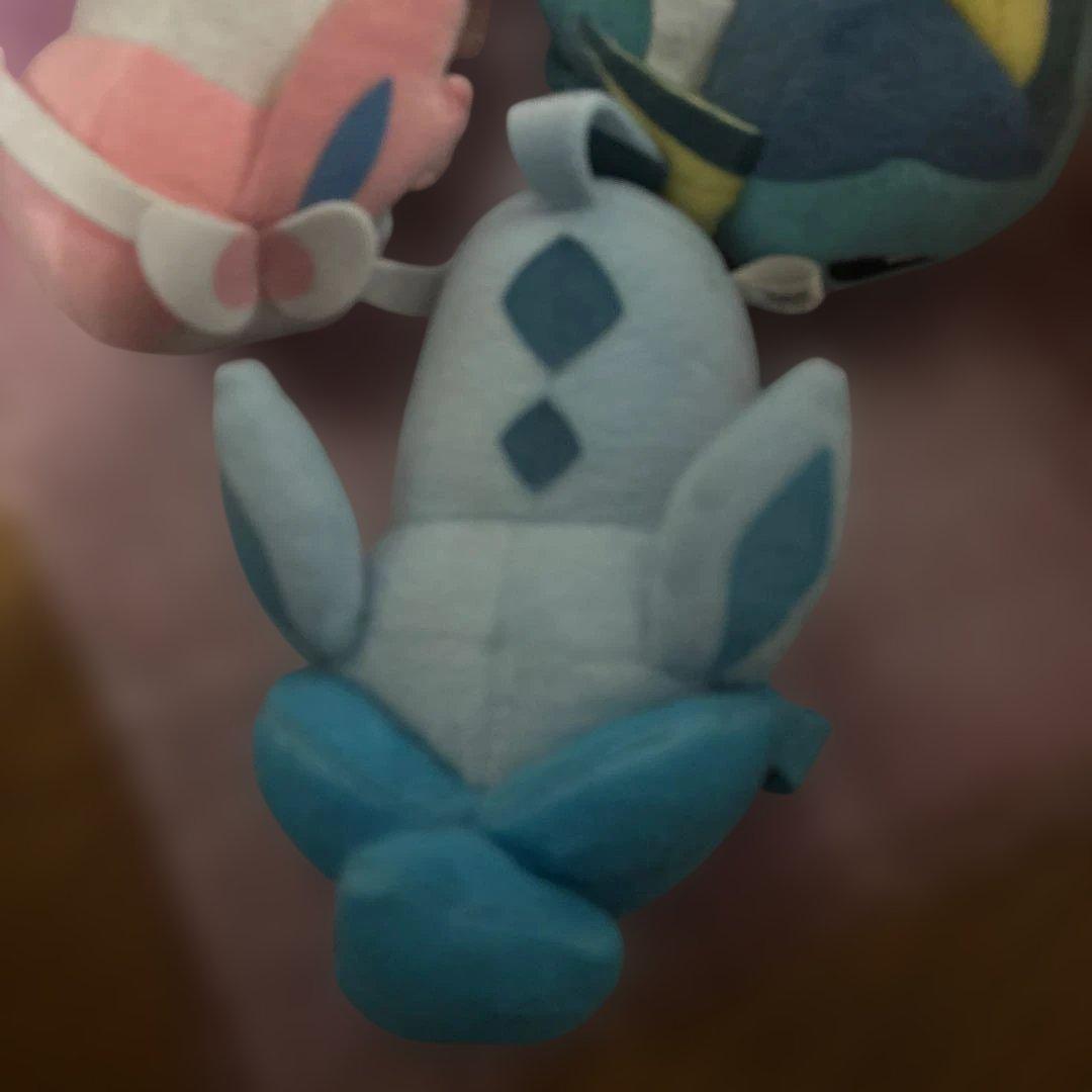 ポケモンころりんブイズ9種セット(ちむ)