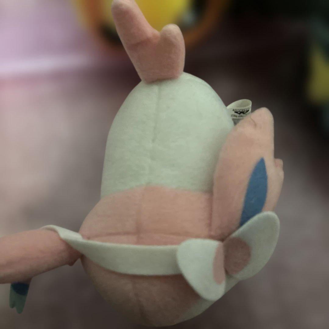 ポケモンころりんブイズ9種セット(ちむ)