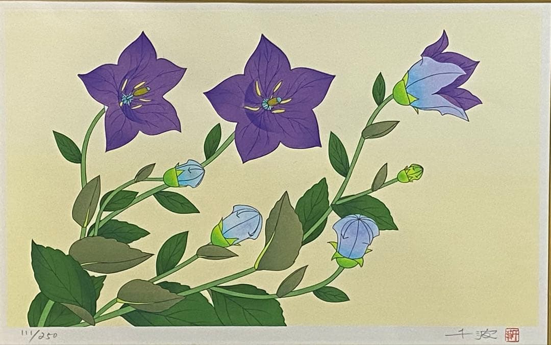 中島千波作　桔梗　リトグラフ　111／250額装　箱付送料込み260121