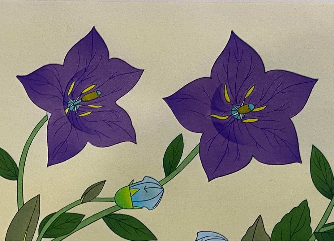 中島千波作　桔梗　リトグラフ　111／250額装　箱付送料込み260121