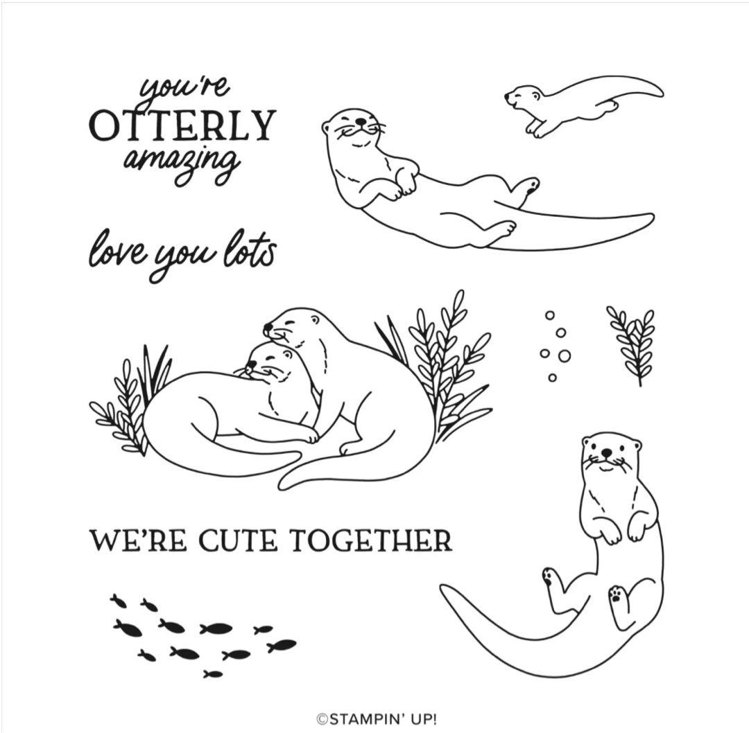 お値下♡未使用１点限定新作可愛いカワウソスタンピンアップ　スタンプ&ダイ　オター