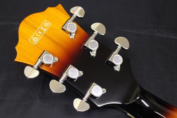 Ibanez(アイバニーズ) / AF75 BS フルホロウ エレキギター