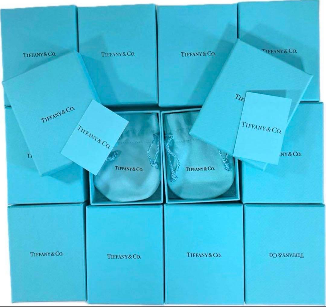 現行品Tiffany ティファニー　空箱巾着取扱説明書　12