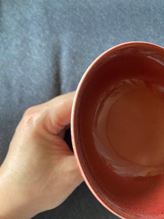 中国古美術品　魚文釉里紅　馬上杯　大明宣徳年製 在銘 清の時代