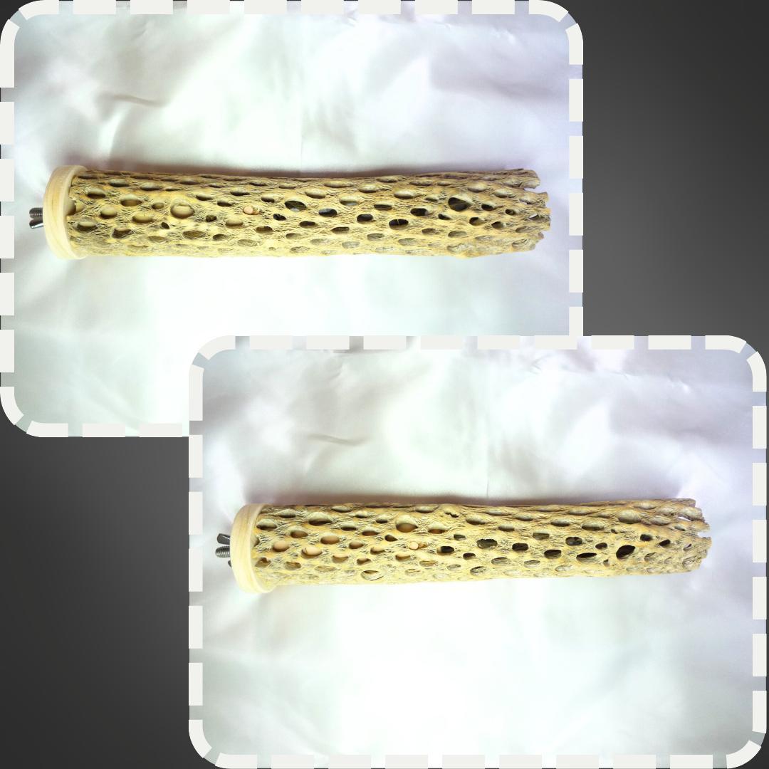 Chiiia様おまとめ　止まり木　カクタススケルトン　パーチ　2本