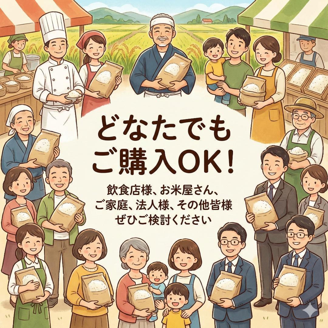 新米 令和7年度 埼玉県産 彩のきずな 白米 27kg (9kg3袋) 精米