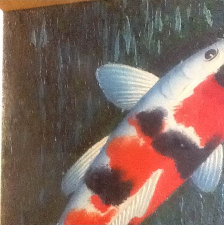 昭和レトロ 日本 絵画 油絵 錦鯉　锦鲤　Nishikigoi